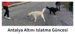 antalya altını ıslatma