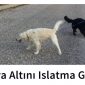 antalya altını ıslatma