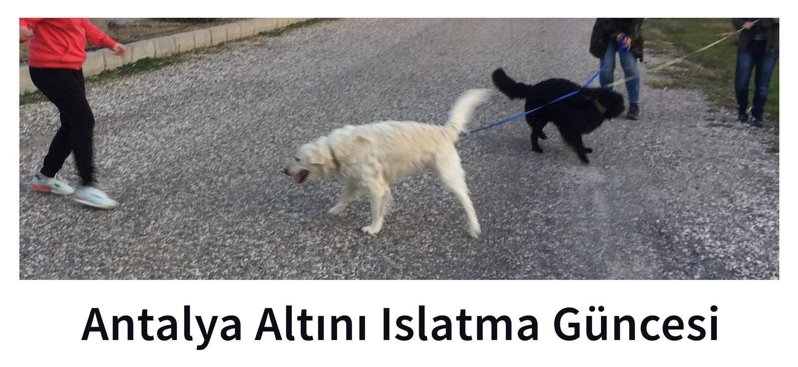 antalya altını ıslatma